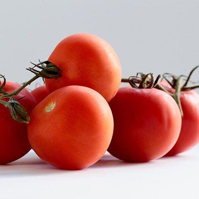 Tomato on white background