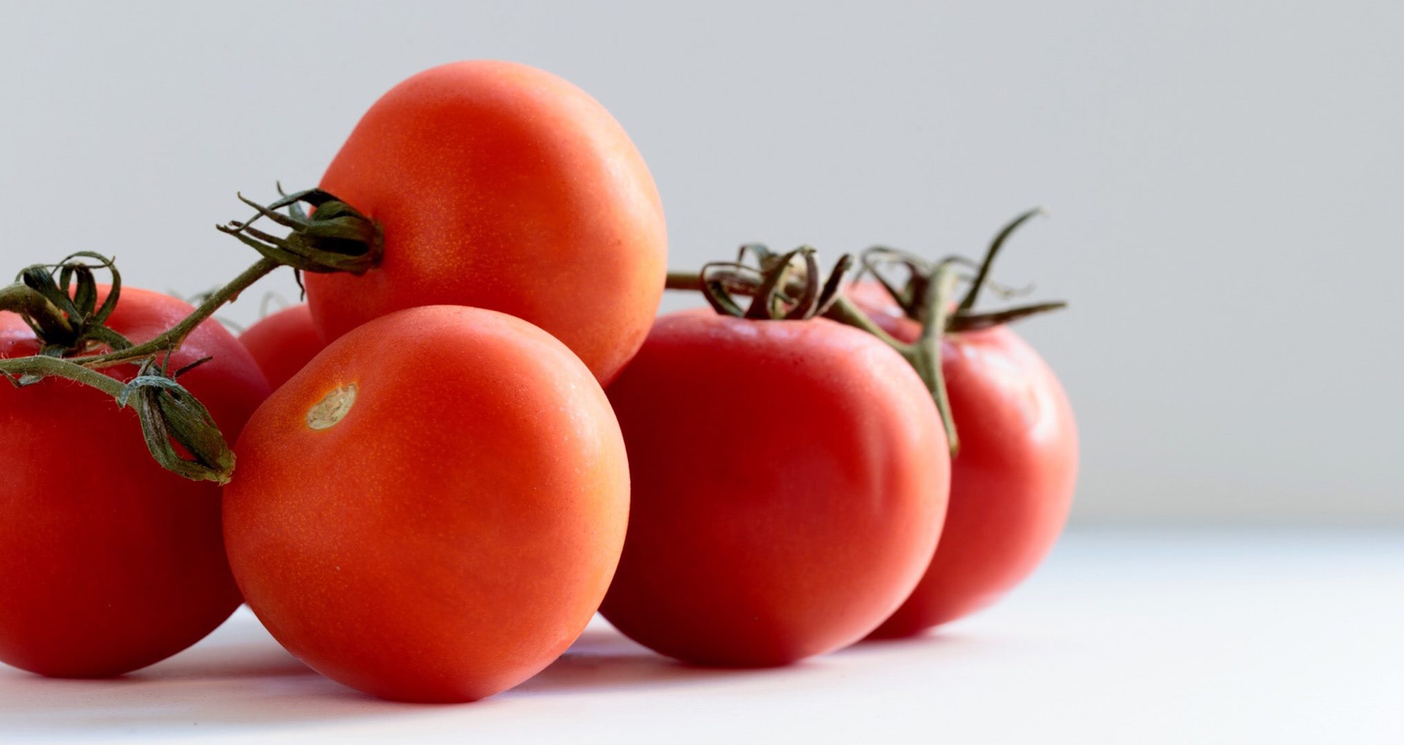 fresh Ray & Mascari tomatoes on white kitchen table