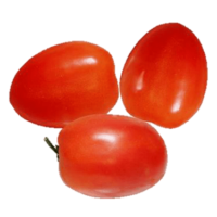 Roma Italian Plum Tomatoes
