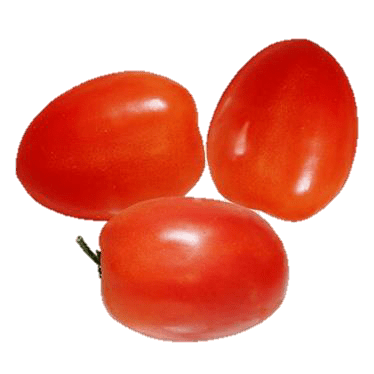 Roma Italian Plum Tomatoes