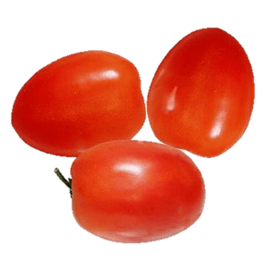 Roma Italian Plum Tomatoes for Market Report at Ray & Mascari Roma Italian Plum Tomatoes