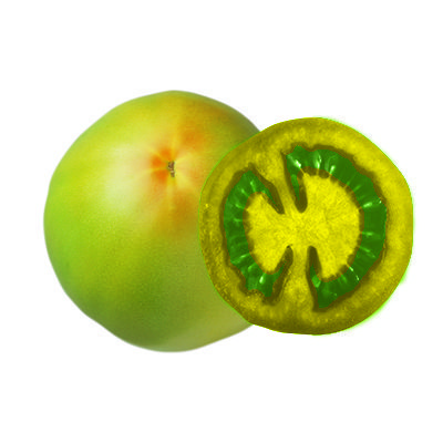 breaker tomato on tomato ripening guide