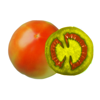 pink tomato on tomato ripening guide