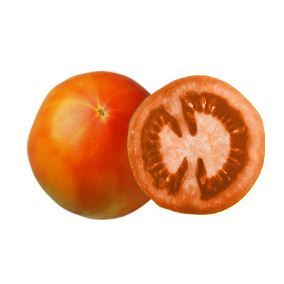 Light Red tomato on ripening scale